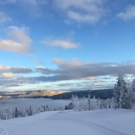 Skagahogdi 19